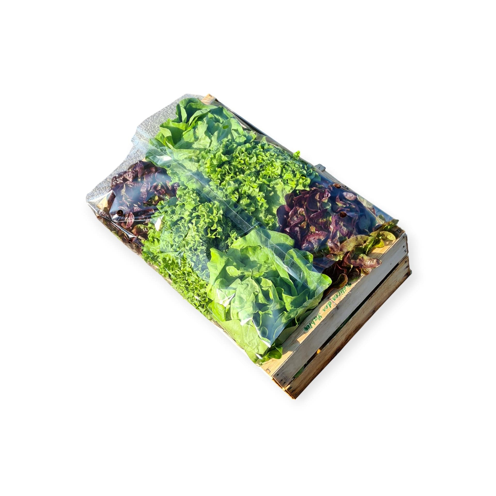 Garnitures polypro 58x125cm